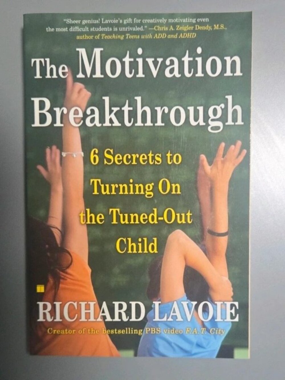 The Motivation Breakthrough by Richard Lavoie, Paperback 2007, Motivation